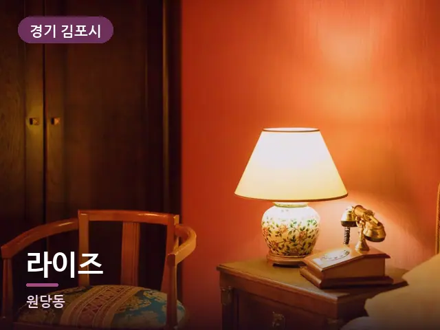 경기 김포시 라이즈 — 머리맡 조명