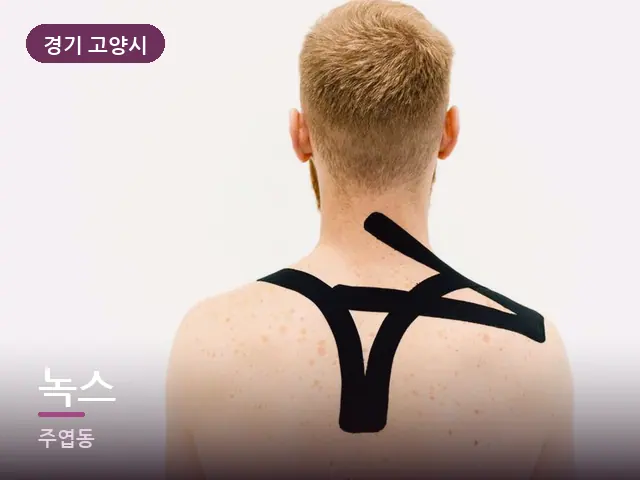 경기 고양시 녹스 — 어깨 뭉침 관리