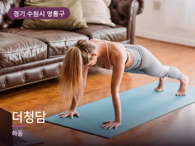 경기 수원시 영통구 더청담 — 집 안의 매트