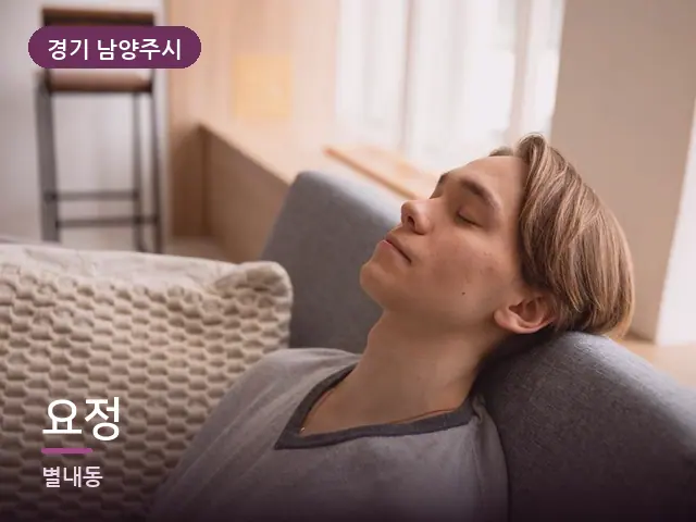 경기 남양주시 요정 — 소파에서 쉬는 모습