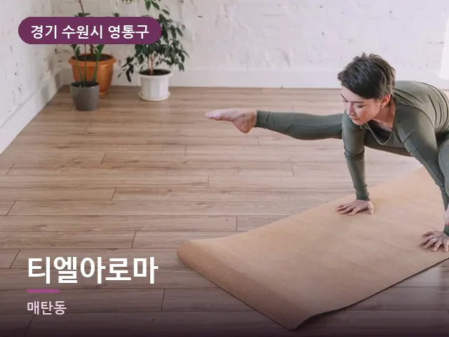 경기 수원시 영통구 티엘아로마 — 집 안의 매트