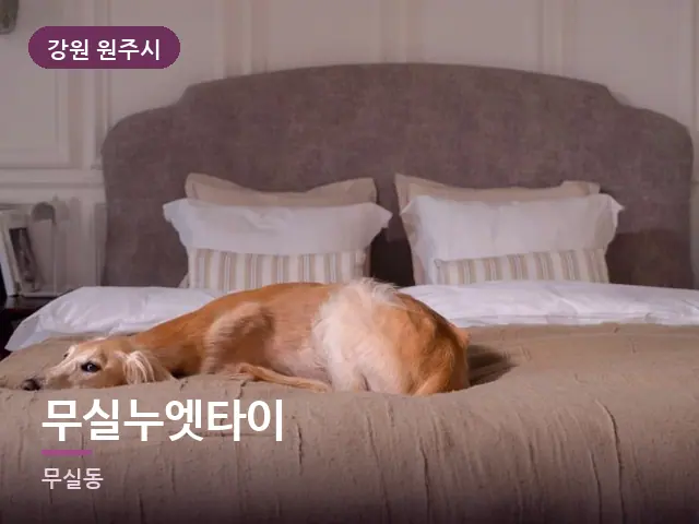 강원 원주시 무실누엣타이 — 조용한 침실 공간
