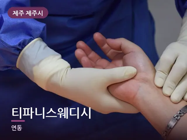 제주 제주시 티파니스웨디시 — 손목 이완