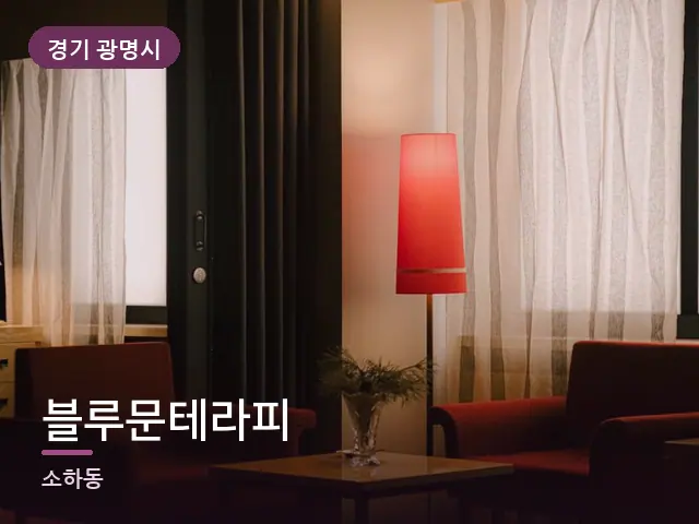 경기 광명시 블루문테라피 — 호텔 스위트 내부