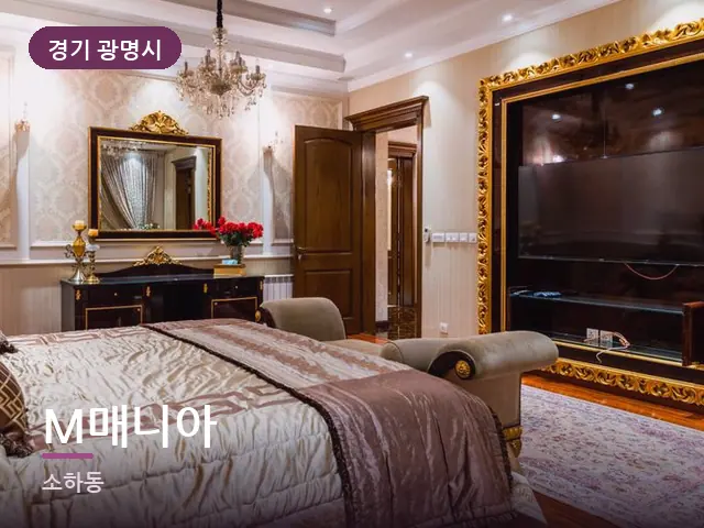 경기 광명시 M매니아 — 호텔 스위트 내부