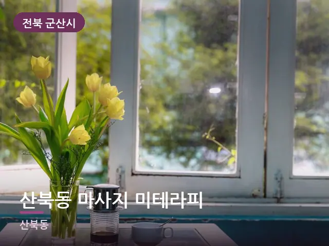 전북 군산시 산북동 마사지 미테라피 — 창가의 식물