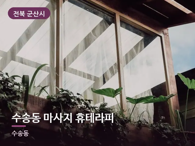 전북 군산시 수송동 마사지 휴테라피 — 창가의 식물