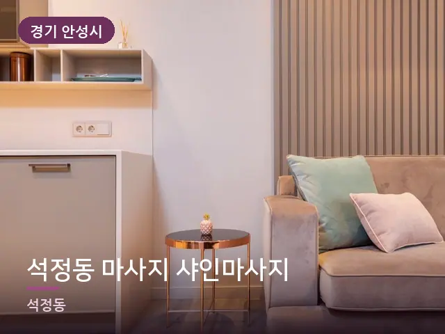 경기 안성시 석정동 마사지 샤인마사지 — 아파트 실내