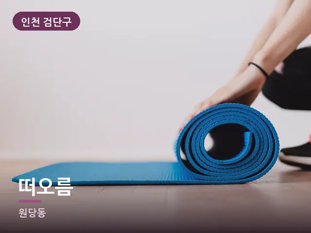 인천 검단구 떠오름 — 집 안의 매트
