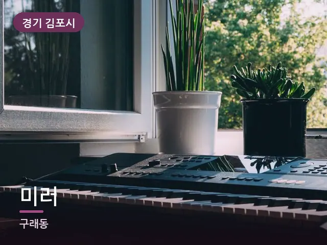 경기 김포시 미러 — 창가의 식물