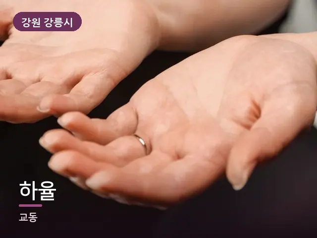 강원 강릉시 하율 — 손 클로즈업
